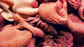 Pansen & Blättermagen Pansen & Blättermagen