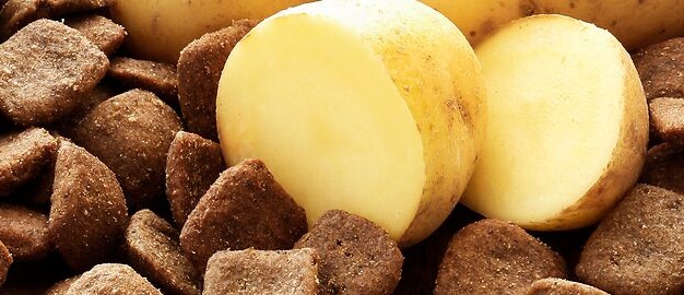 Getreidefreies Hundefutter