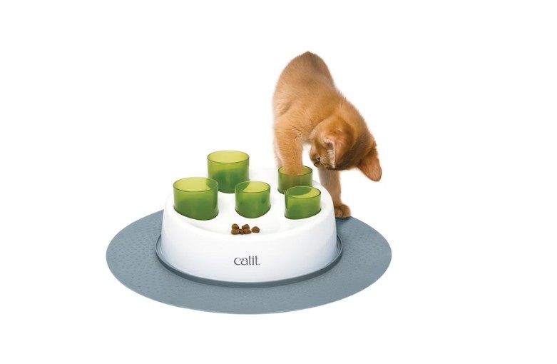 Beschäftigung & Intelligenz