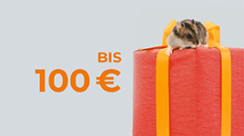 Geschenke bis 100€