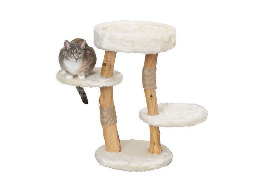Kratzbume fr Katzen online kaufen | Zoologo