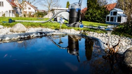 Teichpflege Teichpflege