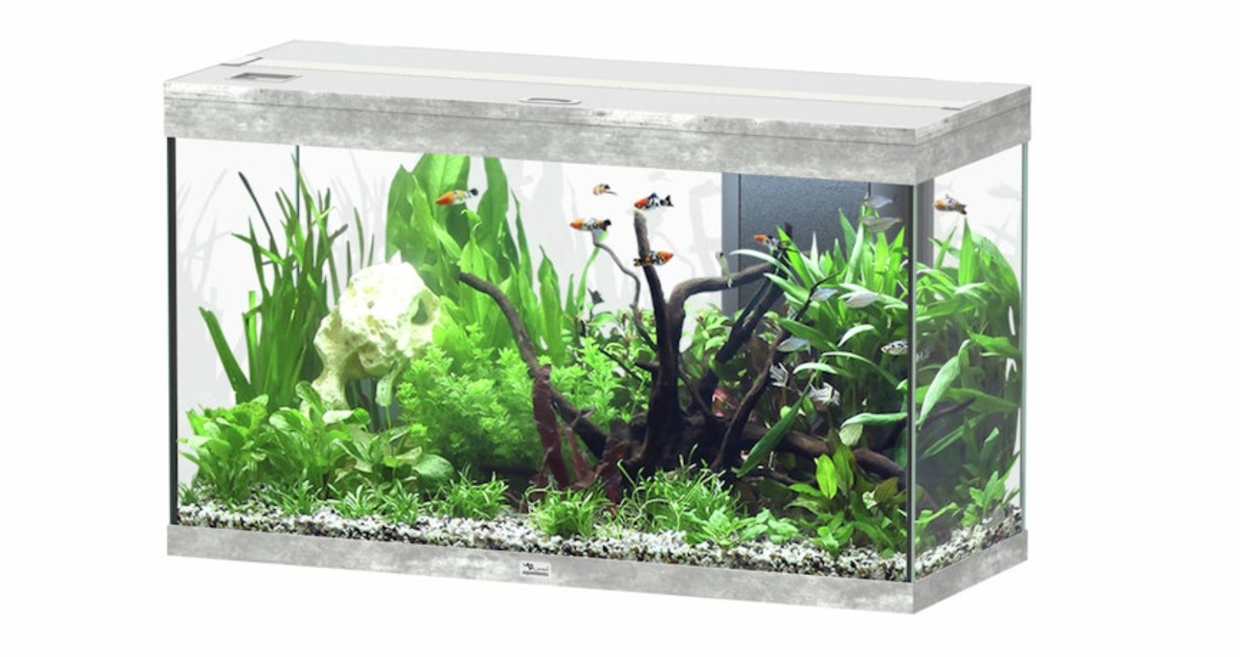 Angebote für Aquaristik und Teich