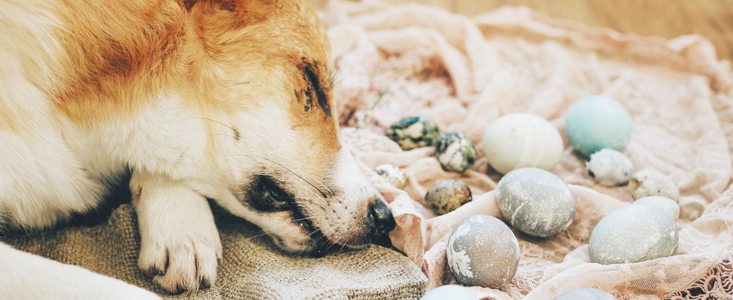 Schlafen und Ausruhen