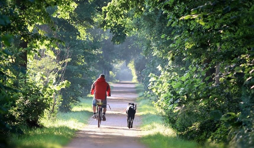 Hund an Leine neben Fahrrad