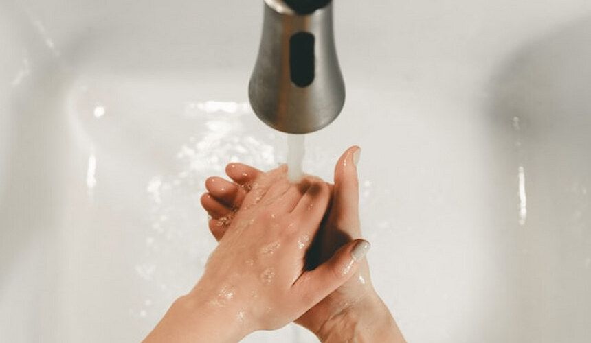 Achten Sie beim Barfen auf die richtige Hygiene