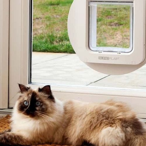 Katzenklappen und Katzentüren