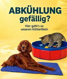  Sliderbild