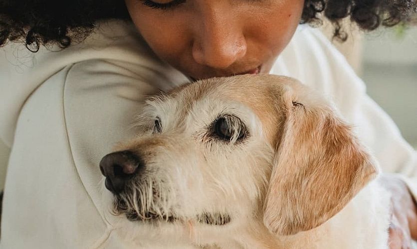 Erster Hund - Welche Erstausstattung brauche ich für meinen Hund?