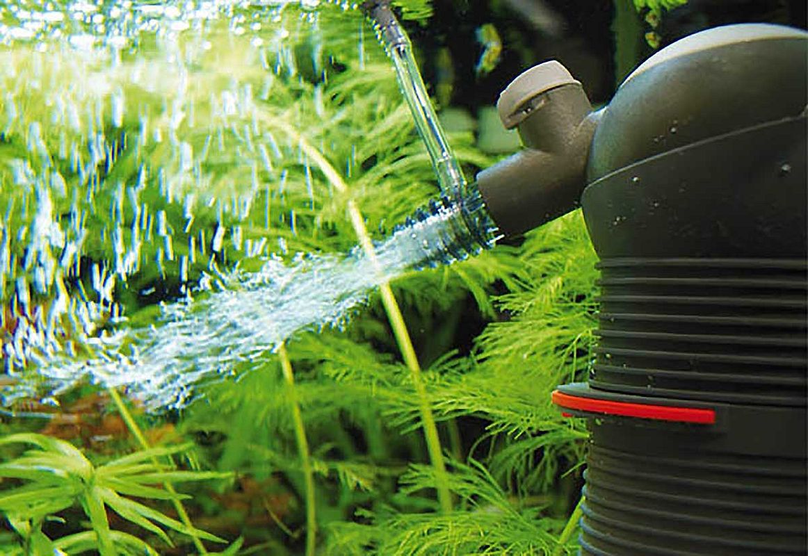 Innenfilter in einem Aquarium
