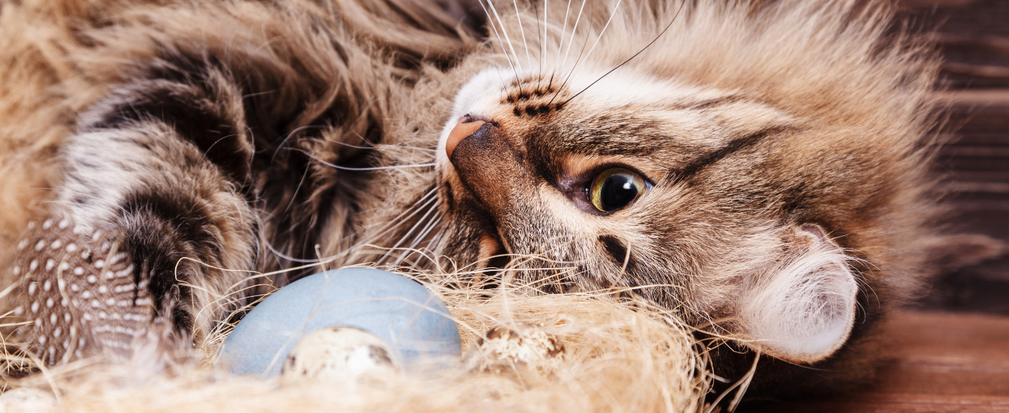 Schlafen und Ausruhen