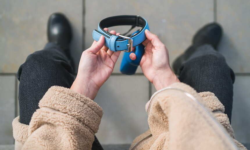 Frau hält blaues Hundehalsband in der Hand
