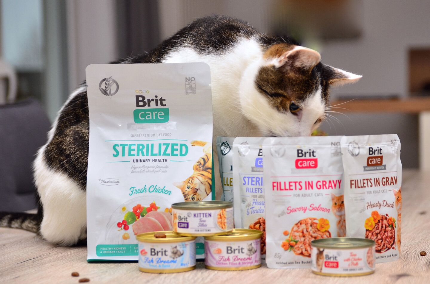 Katze sitzt hinter Brit Care Produkten