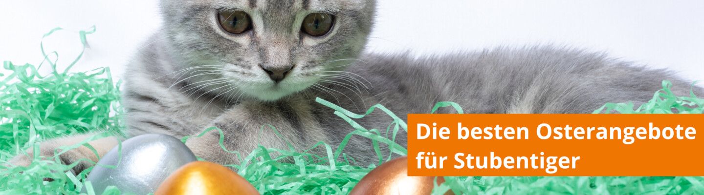 Freuen Sie sich über tolle Geschenke mit der Zoologo Osteraktion