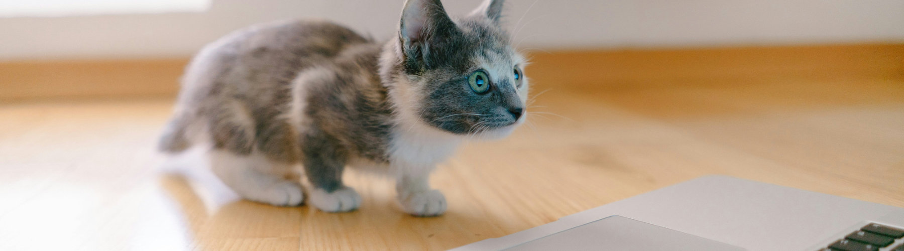 Titelbild Entdecken Sie Sonderangebote!