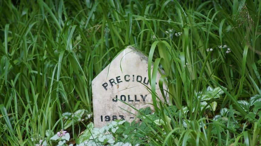 Hundegrabstein mit Inschrift Jolly