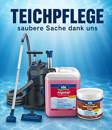  Sliderbild