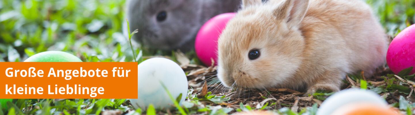Freuen Sie sich über tolle Geschenke mit der Zoologo Osteraktion