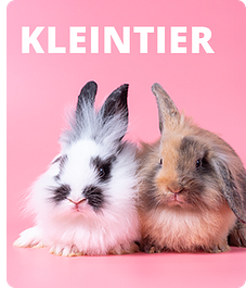  Sliderbild