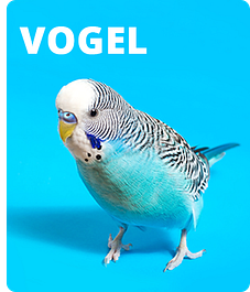 Sliderbild