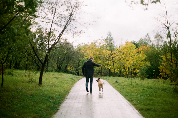 Wandern mit dem Hund