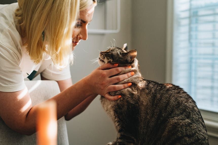 Eine Ärztin streichelt eine Katze