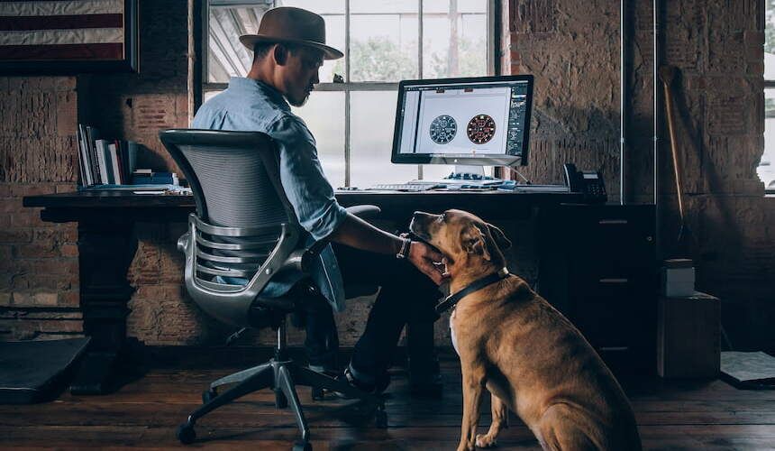 Ein Mann mit Hut, der an einem Computerschreibtisch sitzt, streichelt einen großen braunen Hund am Hals