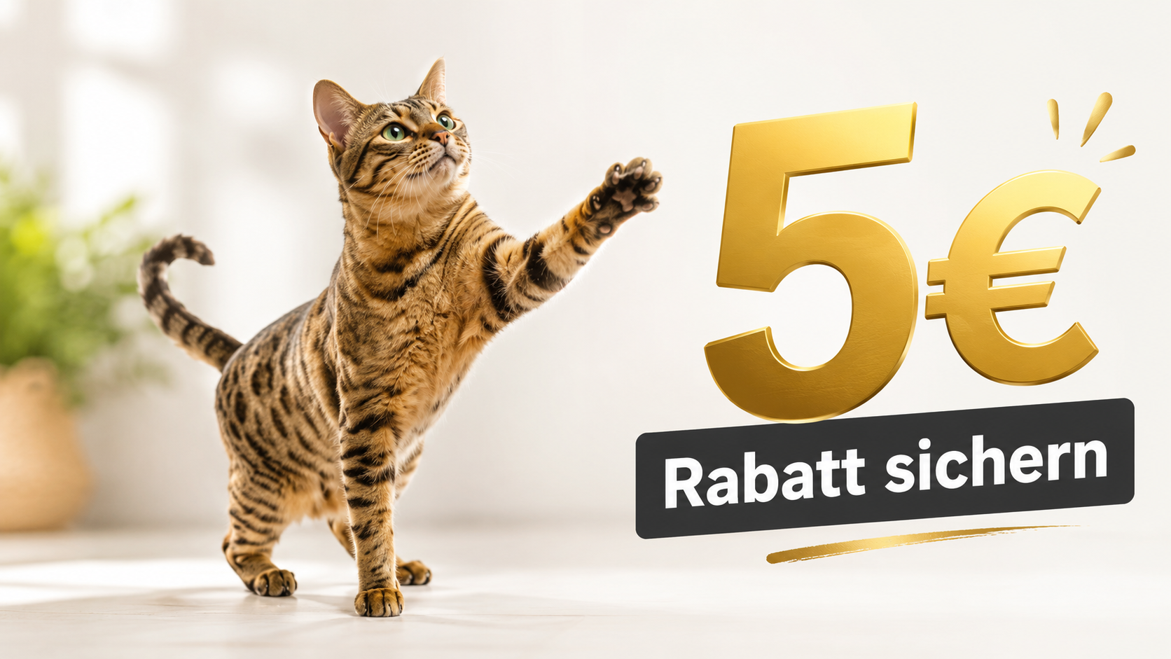 5 Euro Rabatt sichern