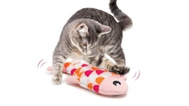 Catnip & Baldrian Catnip & Baldrian