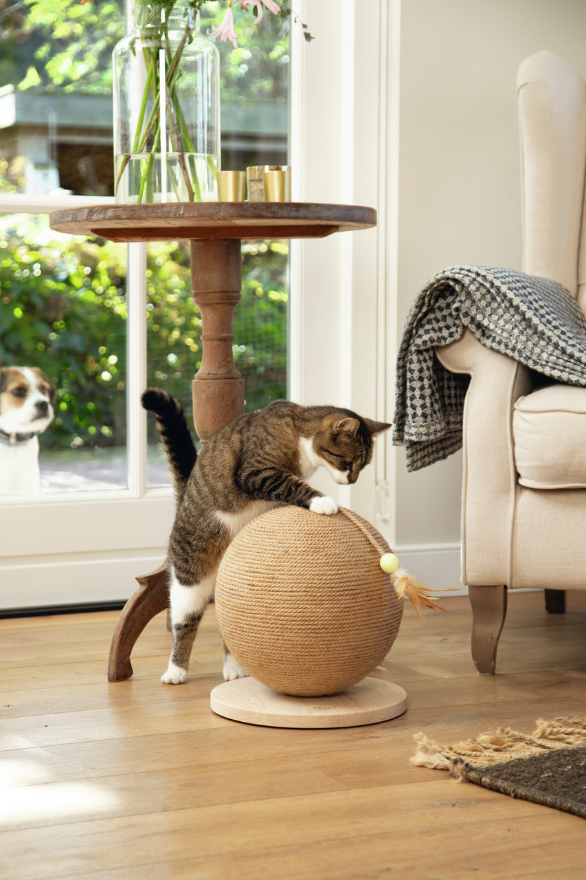 Designed by Lotte Katzenspielzeug