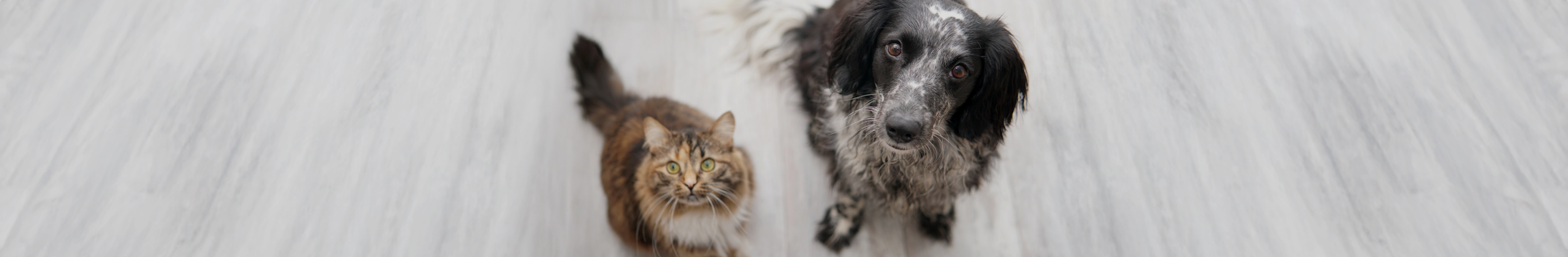 Footer Newsletter Bild
