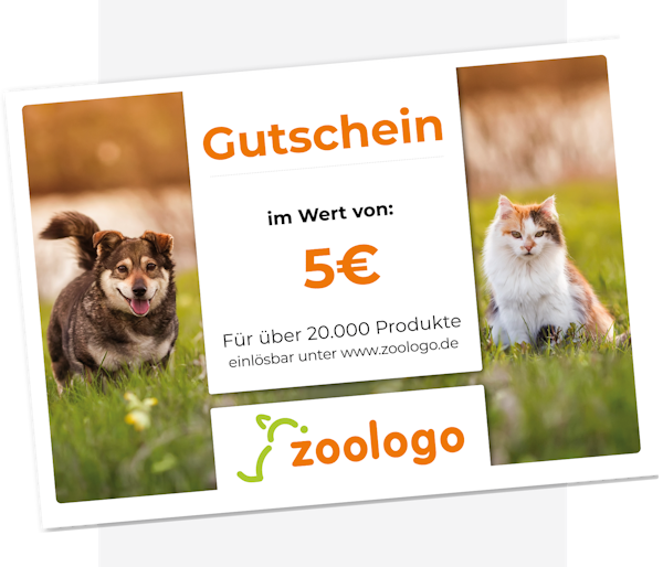 Footer Gutschein Bild