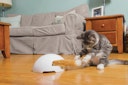 Vorschaubild FroliCat Fuchsbau Katzenspielzeug