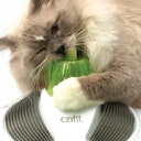 Vorschaubild catit Senses 2.0 Wellness Center Katzenspielzeug