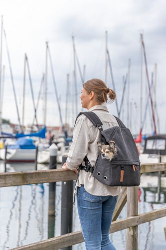 TRIXIE BE NORDIC Rucksack Bjorn, 35 × 40 × 20 cm, schwarz