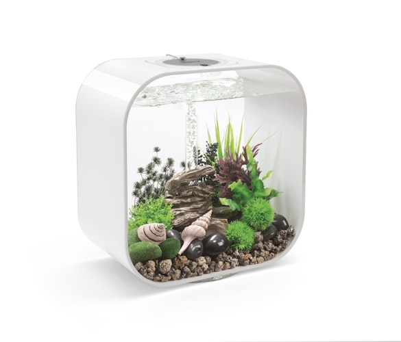 biOrb Decor Set Rock valley