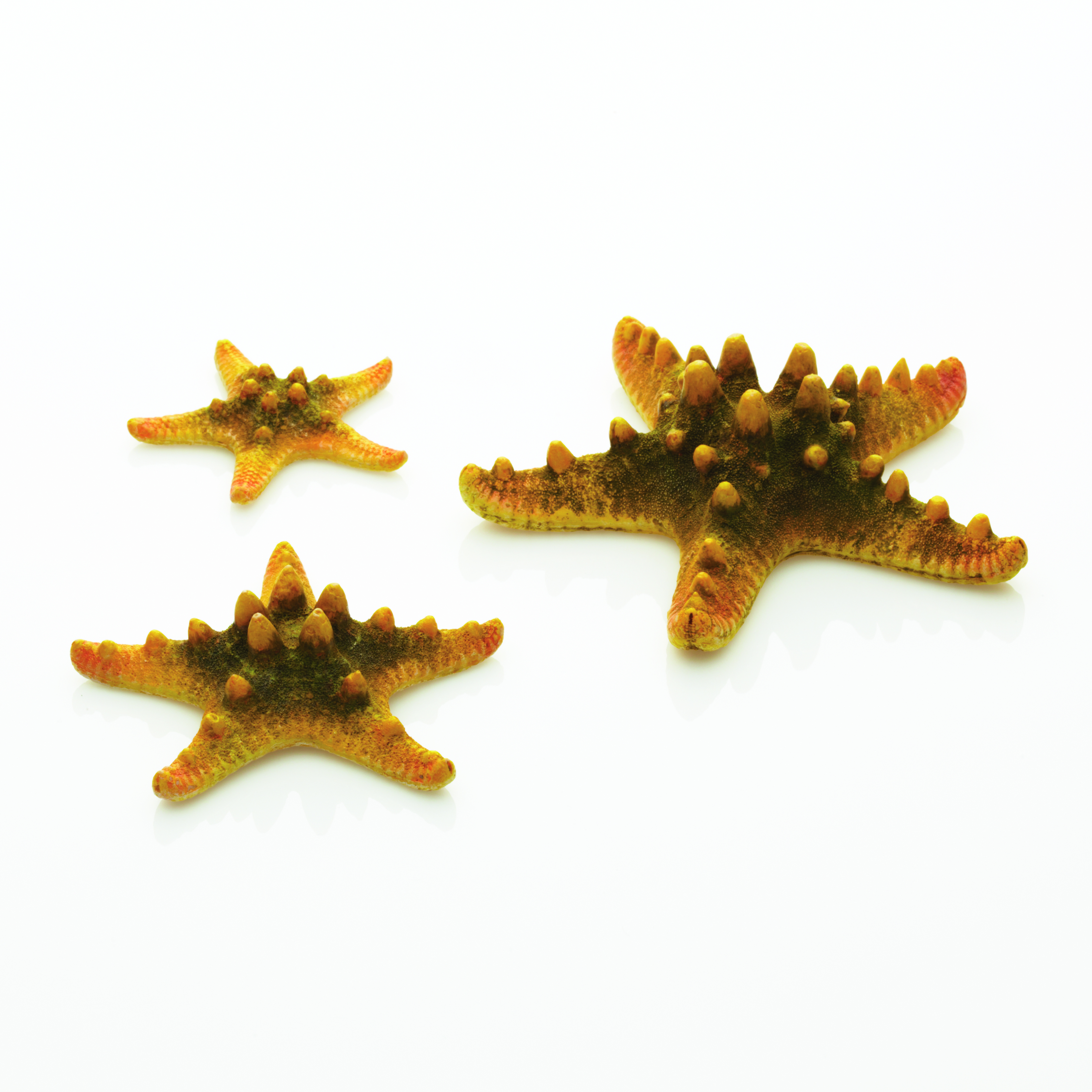 biOrb Seestern Set 3 gelb