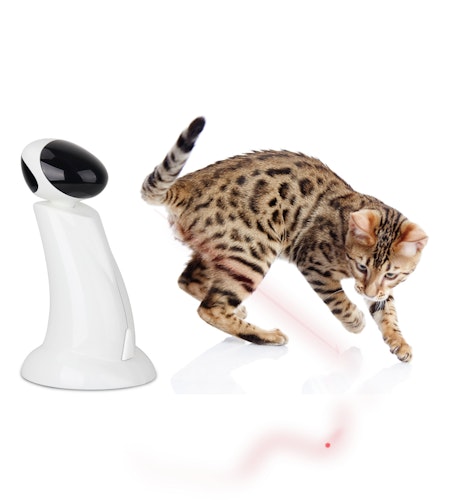 all for paws (afp) Interactives-Laser Beam Katzenspielzeug