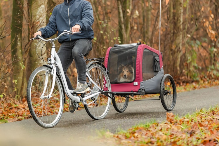 TRIXIE Fahrrad-Anhänger 2.0 schwarz/rot Größe M (63 x 68 x 75 (137) cm)