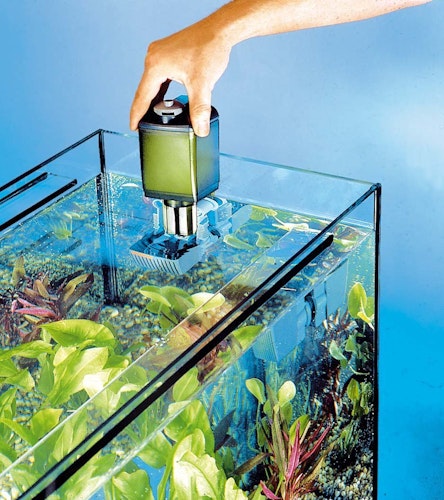 EHEIM Aquarium Filterpatrone für Filter 2008 und pickup 60 2 Stück