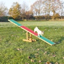 Vorschaubild TRIXIE Dog Activity Agility Wippe 300x34x54cm