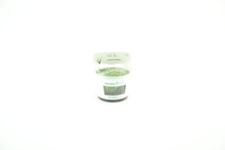 Juncus repens In-Vitro