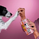 Vorschaubild Tierliebhaber Goodie Drops