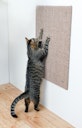 Vorschaubild TRIXIE Kratzbrett XL 50x70cm taupe
