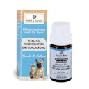Vorschaubild Paws&Patch 10g Blütenmischung Vitalität