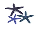Vorschaubild biOrb Seestern Set 3 blau (46143)