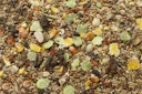 Vorschaubild JR FARM Rennmäuse-Schmaus Kleintierfutter