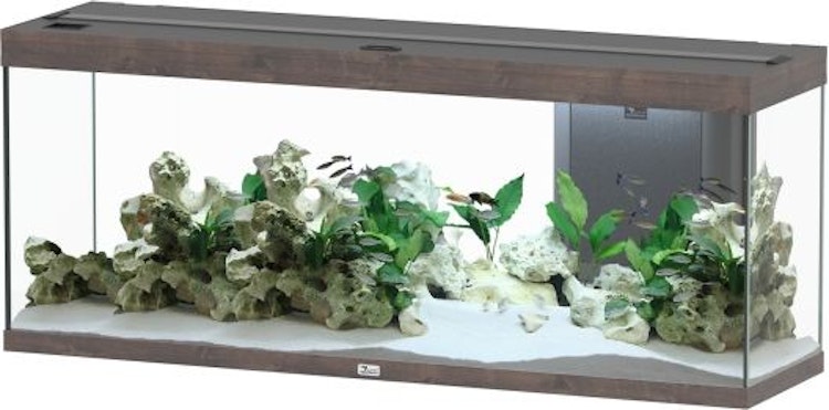 Aquatlantis Splendid Ultra 300 Wildeiche Dunkel Aquarium