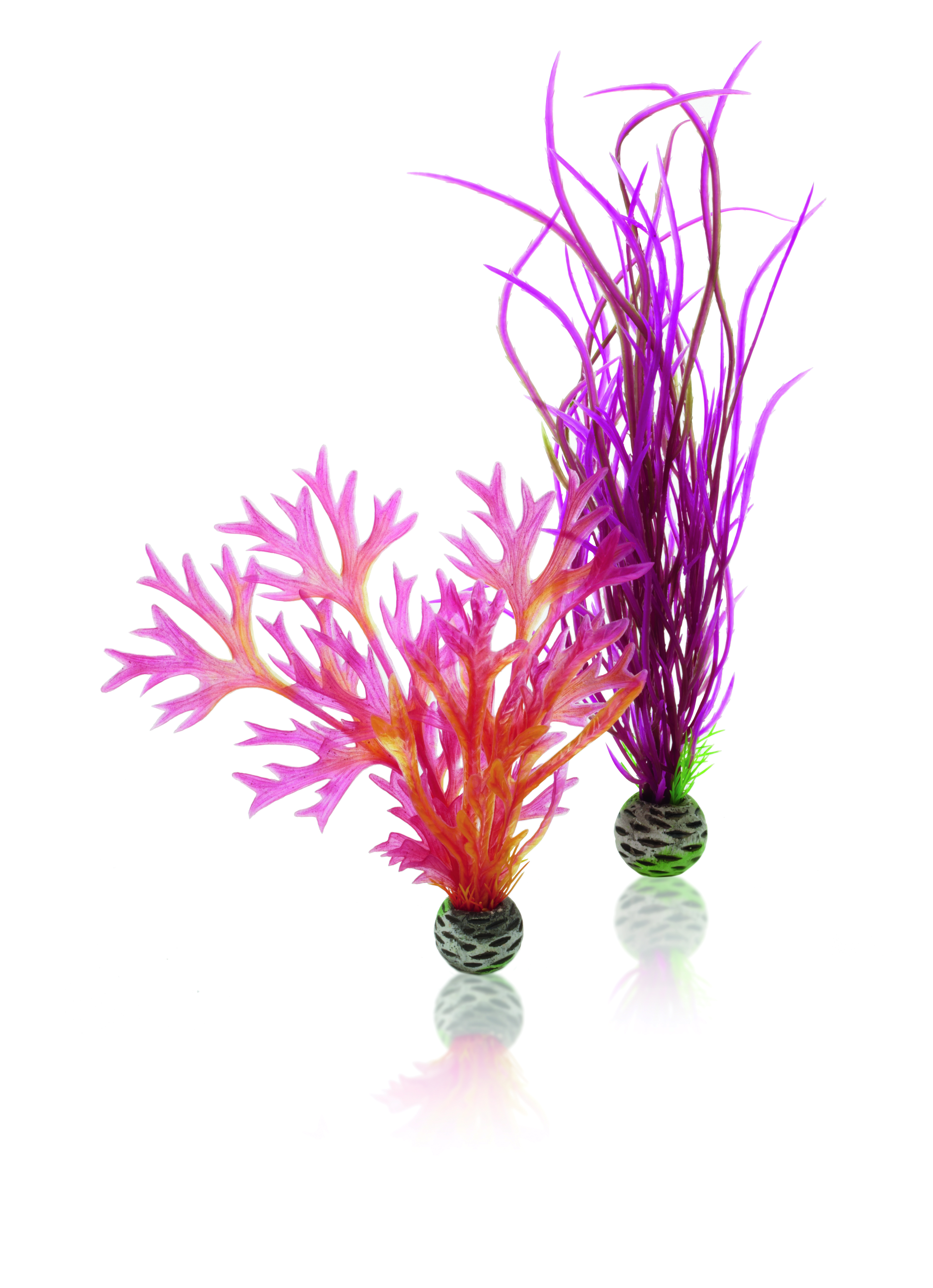 biOrb Pflanzen Set mittelgroß rot & pink (46058)