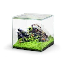 Aquatlantis Kubus 54 L Glasbecken